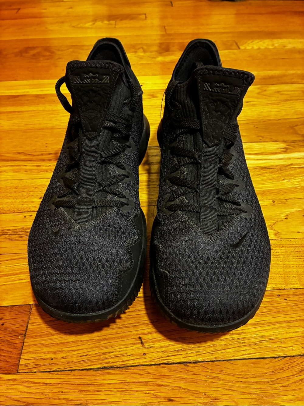 Nike LeBron V16 Triple Black